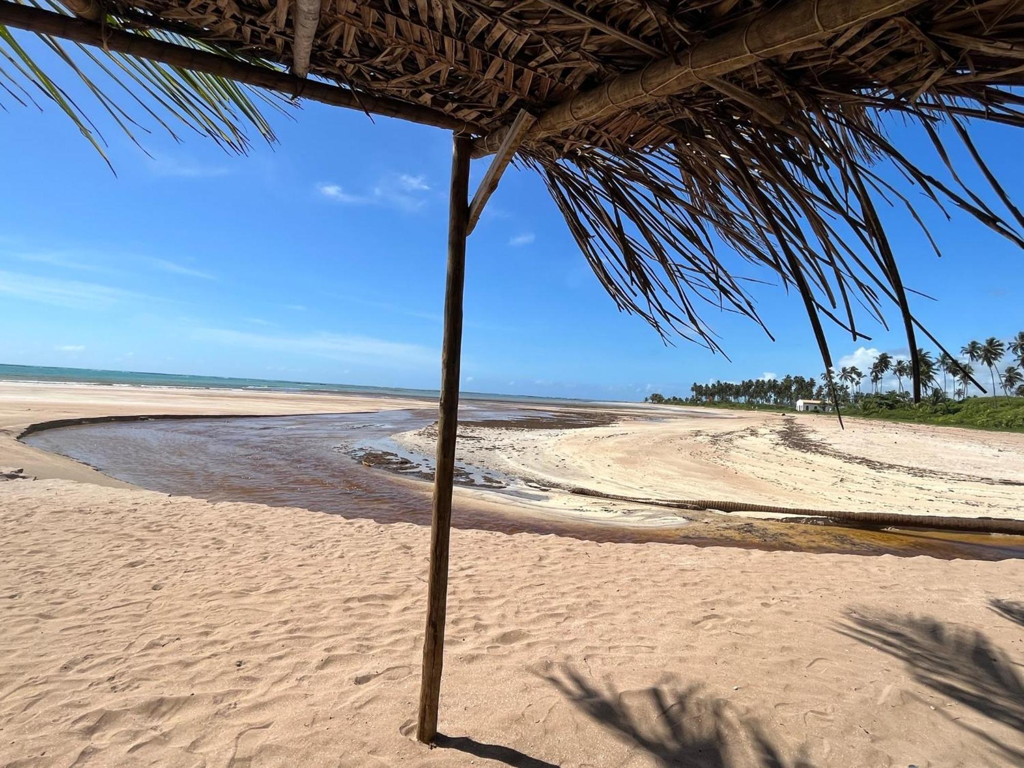 Casa Com Piscina - Milagres - Praia E Capela São Miguel dos Milagres エクステリア 写真